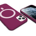 ETUI PREMIUM SILICONE MAGSAFE DO IPHONE 11 PRO MAX - PURPLE