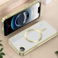 Etui RabbitMob do iPhone 16e do MagSafe Ochrona Aparatów | Elite Frame Case Złote
